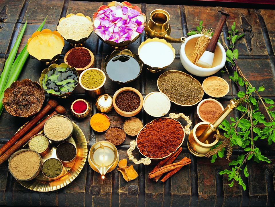 Ayurvedic Spices — Ancient Wisdom in Your Kitchen | Phoran Spice Guide