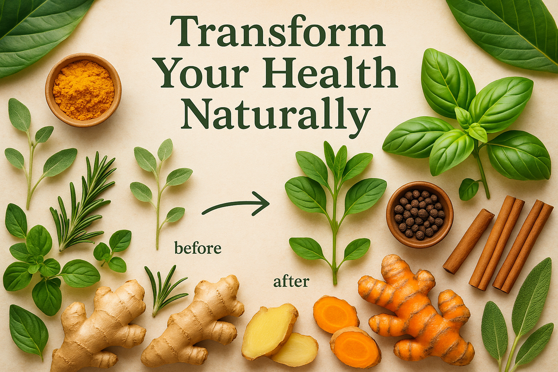 Best Spices for Digestion: Natural Remedies for Gut Health | Phoran