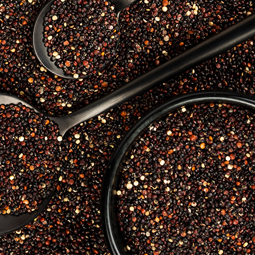 Black Mustard Seeds – Premium Kali Rai Spice – Phoran